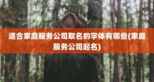 适合家庭服务公司取名的字体有哪些(家庭服务公司起名)