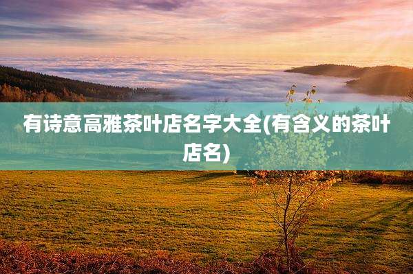 有诗意高雅茶叶店名字大全(有含义的茶叶店名)