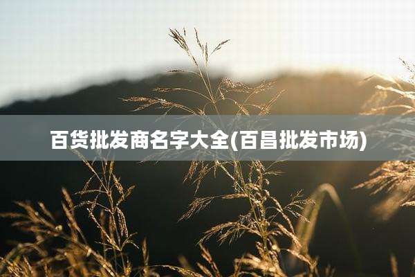 百货批发商名字大全(百昌批发市场)