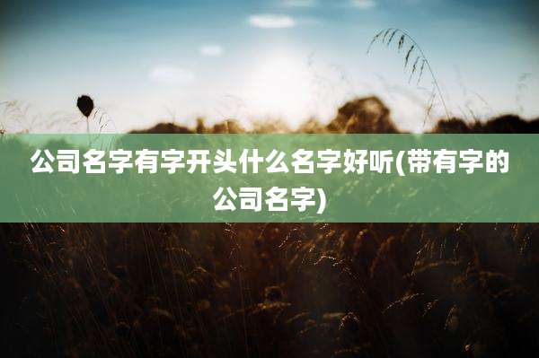 公司名字有字开头什么名字好听(带有字的公司名字)