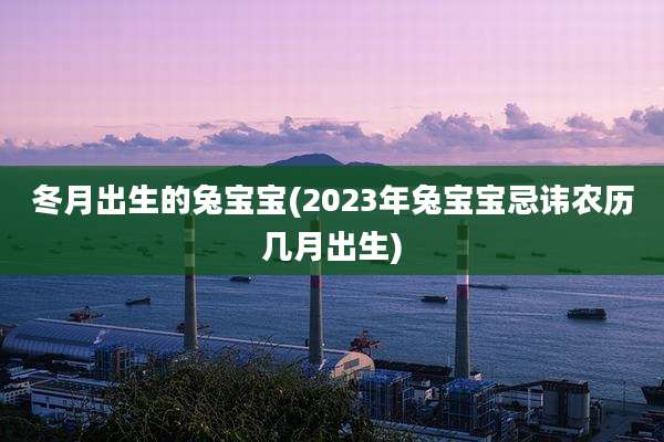 冬月出生的兔宝宝(2023年兔宝宝忌讳农历几月出生)
