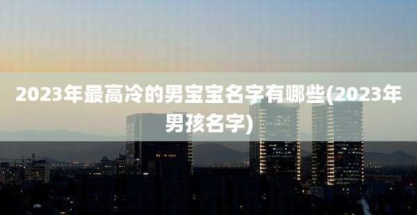 2023年最高冷的男宝宝名字有哪些(2023年男孩名字)