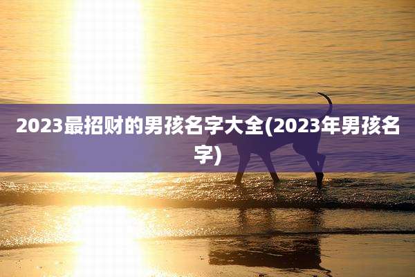 2023最招财的男孩名字大全(2023年男孩名字)