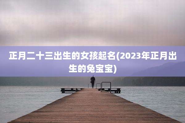 正月二十三出生的女孩起名(2023年正月出生的兔宝宝)