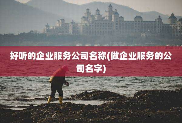 好听的企业服务公司名称(做企业服务的公司名字)