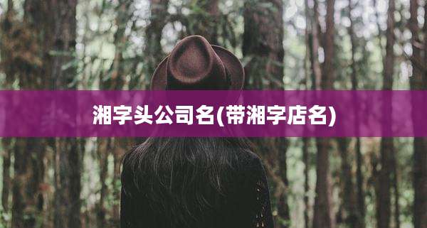 湘字头公司名(带湘字店名)