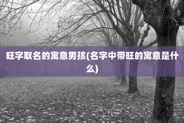 旺字取名的寓意男孩(名字中带旺的寓意是什么)
