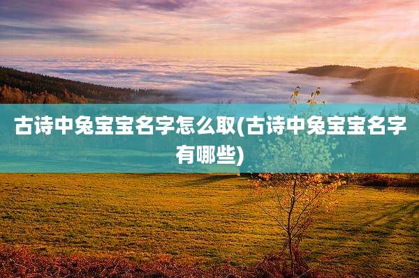 古诗中兔宝宝名字怎么取(古诗中兔宝宝名字有哪些)