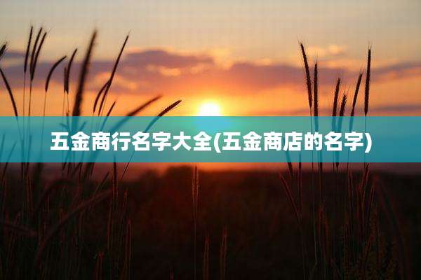 五金商行名字大全(五金商店的名字)
