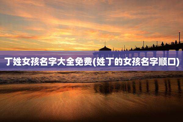 丁姓女孩名字大全免费(姓丁的女孩名字顺口)