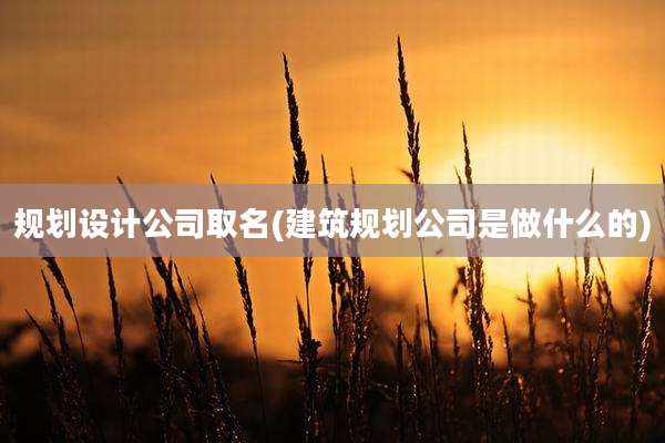规划设计公司取名(建筑规划公司是做什么的)