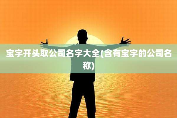 宝字开头取公司名字大全(含有宝字的公司名称)