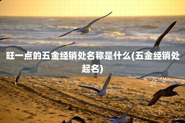旺一点的五金经销处名称是什么(五金经销处起名)