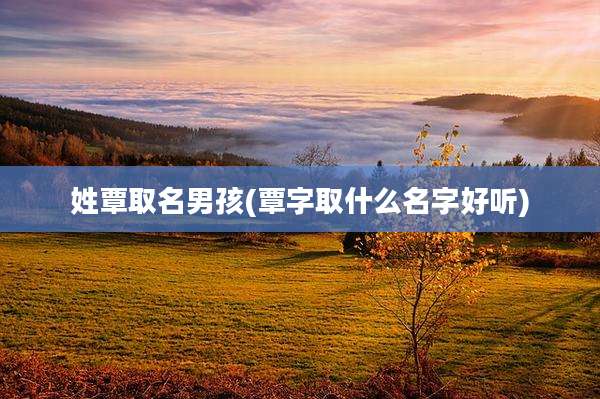 姓覃取名男孩(覃字取什么名字好听)