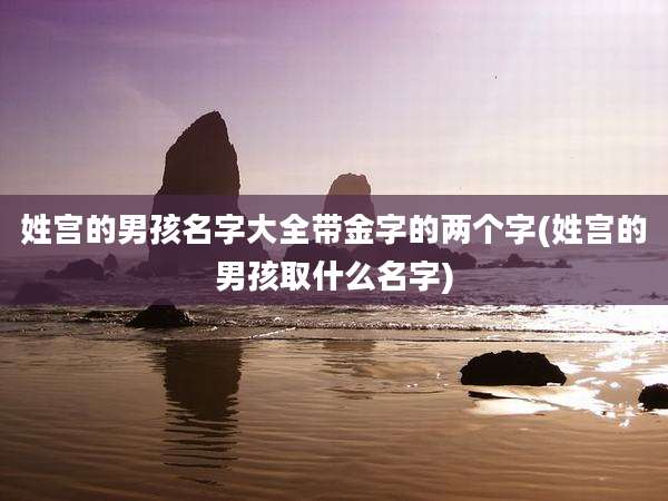 姓宫的男孩名字大全带金字的两个字(姓宫的男孩取什么名字)