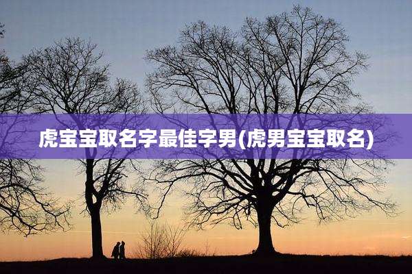 虎宝宝取名字最佳字男(虎男宝宝取名)