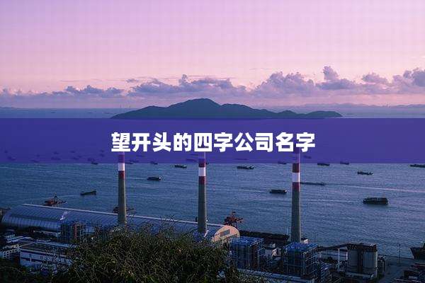 望开头的四字公司名字