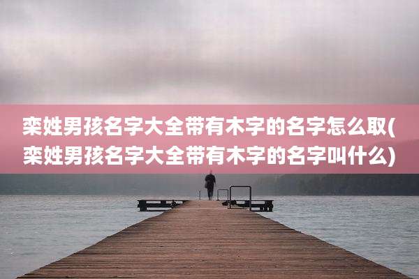 栾姓男孩名字大全带有木字的名字怎么取(栾姓男孩名字大全带有木字的名字叫什么)