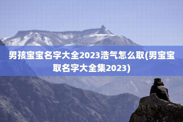 男孩宝宝名字大全2023浩气怎么取(男宝宝取名字大全集2023)