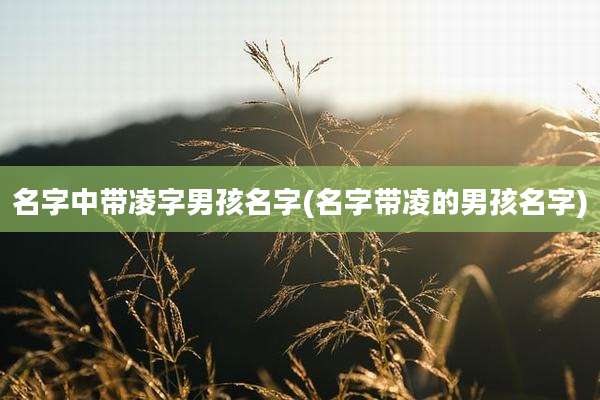 名字中带凌字男孩名字(名字带凌的男孩名字)