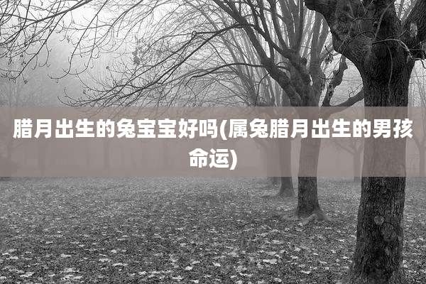 腊月出生的兔宝宝好吗(属兔腊月出生的男孩命运)