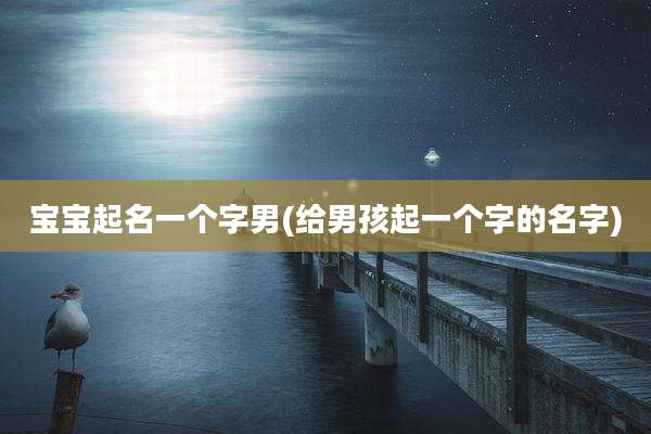 宝宝起名一个字男(给男孩起一个字的名字)
