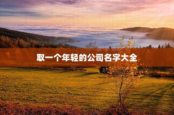 取一个年轻的公司名字大全