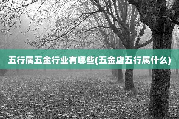 五行属五金行业有哪些(五金店五行属什么)