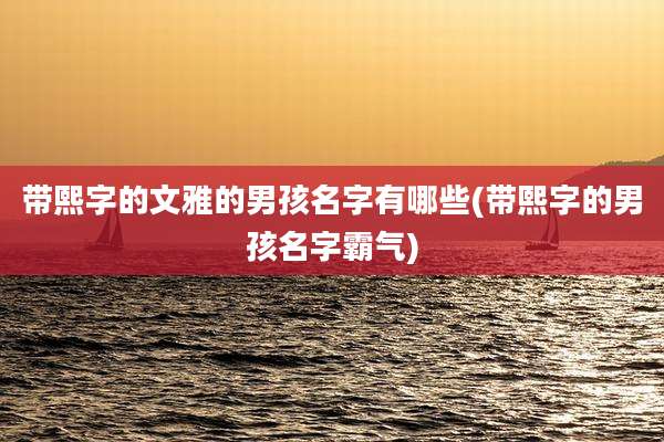 带熙字的文雅的男孩名字有哪些(带熙字的男孩名字霸气)
