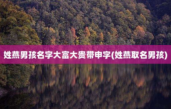 姓燕男孩名字大富大贵带申字(姓燕取名男孩)