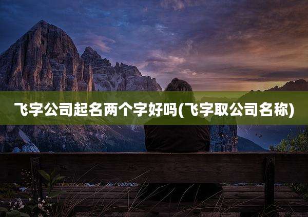 飞字公司起名两个字好吗(飞字取公司名称)