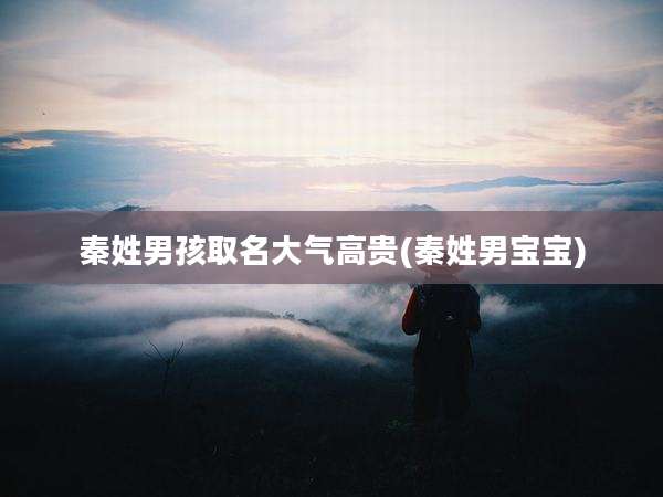秦姓男孩取名大气高贵(秦姓男宝宝)