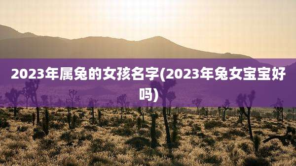 2023年属兔的女孩名字(2023年兔女宝宝好吗)