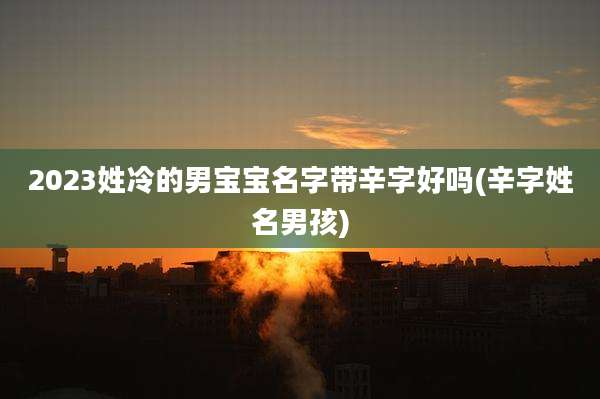 2023姓冷的男宝宝名字带辛字好吗(辛字姓名男孩)