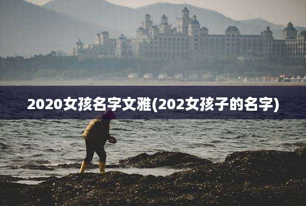 2020女孩名字文雅(202女孩子的名字)