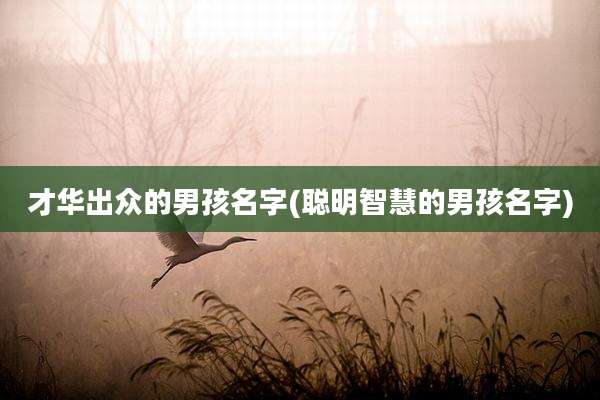 才华出众的男孩名字(聪明智慧的男孩名字)