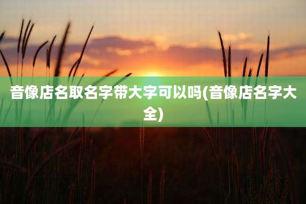 音像店名取名字带大字可以吗(音像店名字大全)