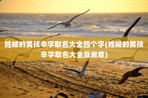 姓臧的男孩辛字取名大全四个字(姓臧的男孩辛字取名大全及寓意)