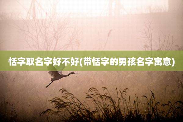 恬字取名字好不好(带恬字的男孩名字寓意)