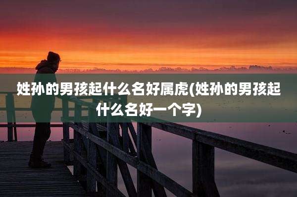 姓孙的男孩起什么名好属虎(姓孙的男孩起什么名好一个字)