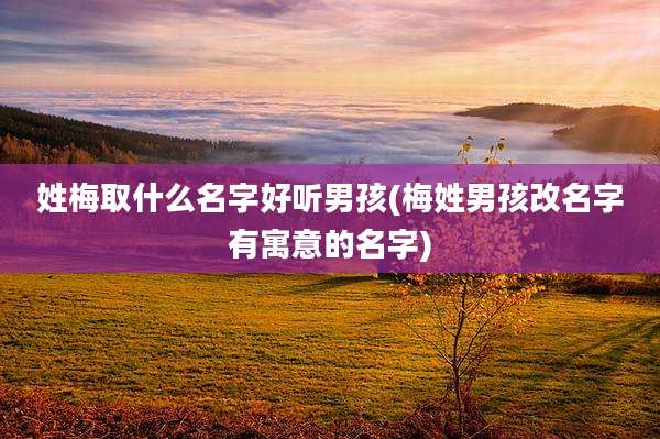 姓梅取什么名字好听男孩(梅姓男孩改名字有寓意的名字)