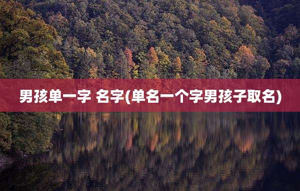 男孩单一字 名字(单名一个字男孩子取名)