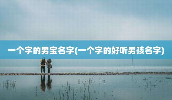一个字的男宝名字(一个字的好听男孩名字)