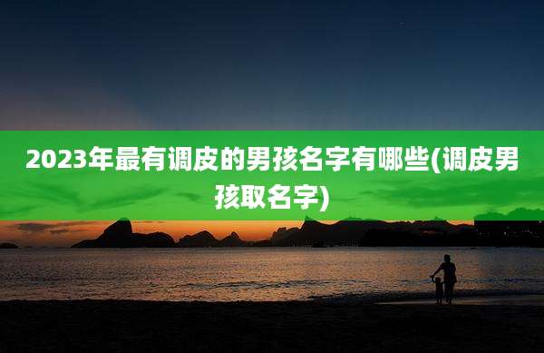2023年最有调皮的男孩名字有哪些(调皮男孩取名字)