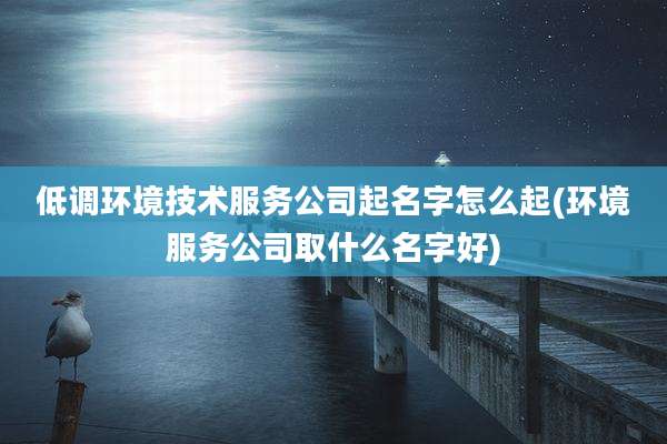 低调环境技术服务公司起名字怎么起(环境服务公司取什么名字好)