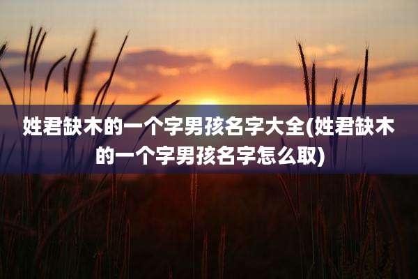 姓君缺木的一个字男孩名字大全(姓君缺木的一个字男孩名字怎么取)