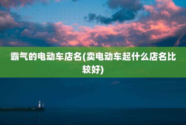 霸气的电动车店名(卖电动车起什么店名比较好)