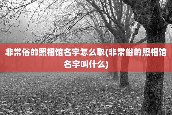 非常俗的照相馆名字怎么取(非常俗的照相馆名字叫什么)