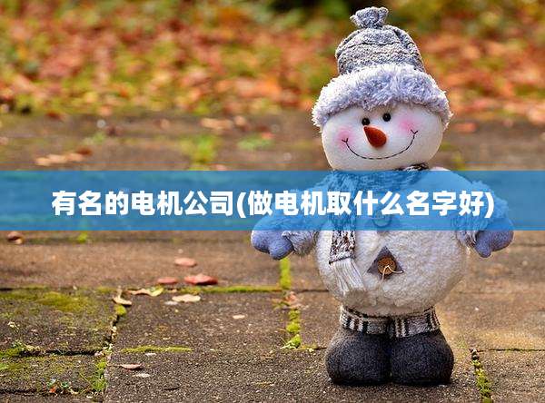 有名的电机公司(做电机取什么名字好)