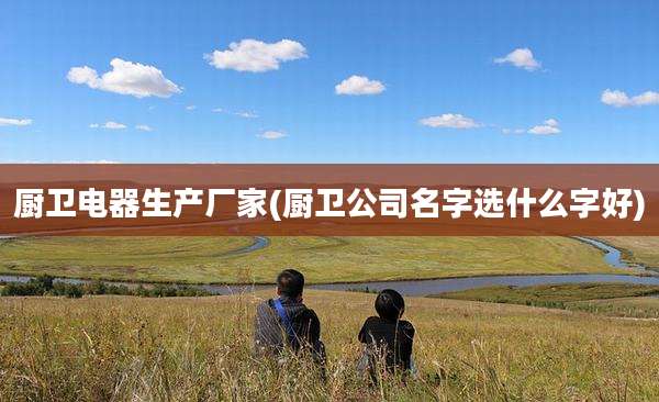厨卫电器生产厂家(厨卫公司名字选什么字好)